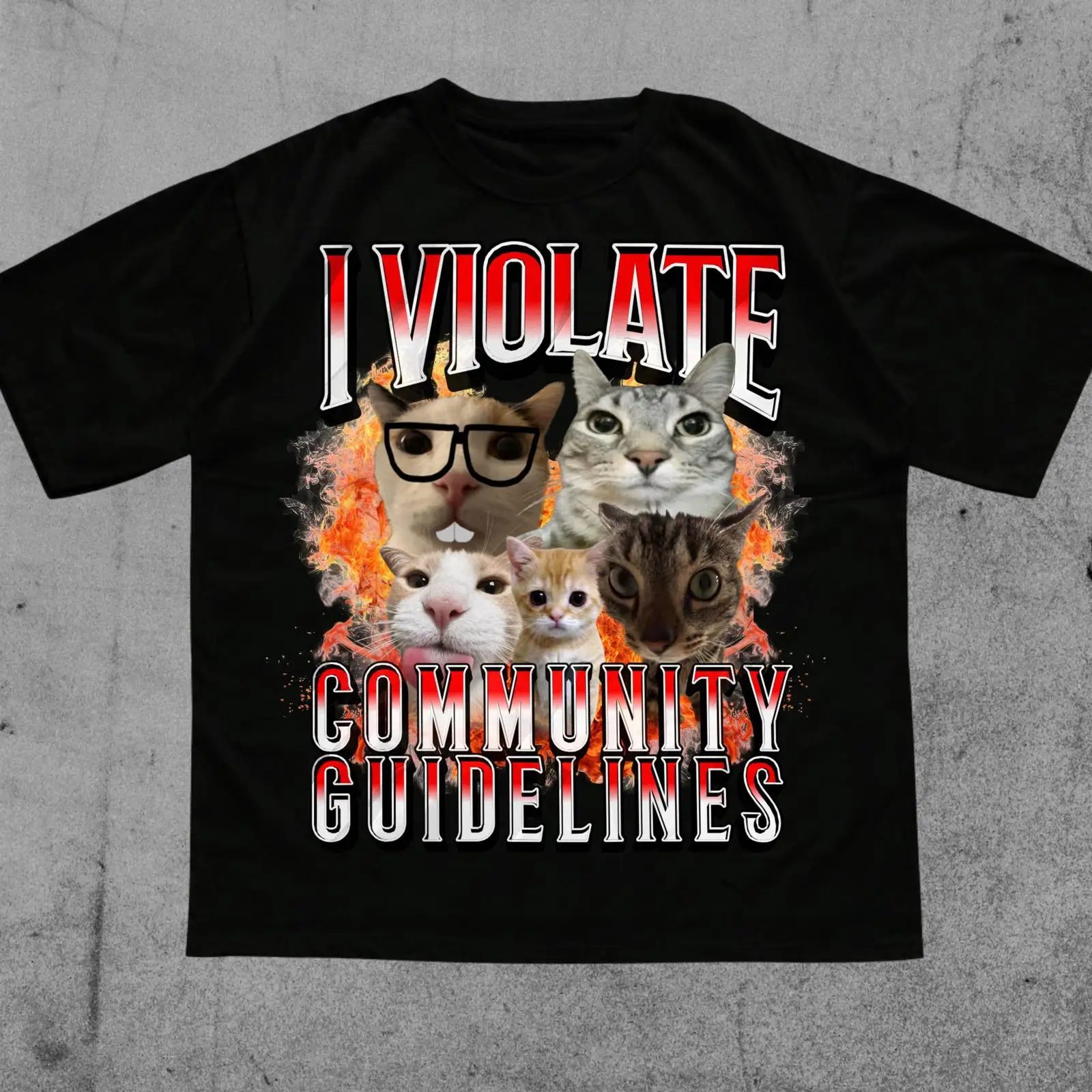 Vintage Fashion Gen Z - I Violate Community Guidelines Cursed Cat