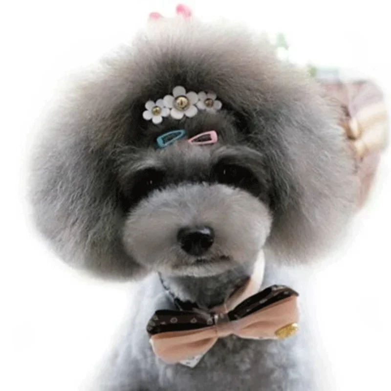 5 teil/satz Koreanische Mini 2 – Vintage Fashion Dolls Bewertung und Preis